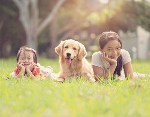 Guide to dog adoption in SIngapore