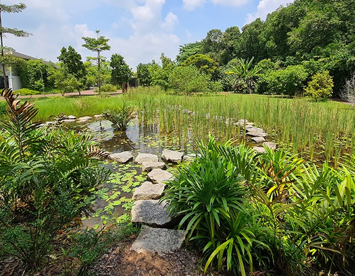 sungei buloh wetland reserve