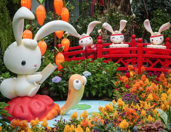 Lunar New Year: It's the Year of the Rabbit and, finally, we can all chill