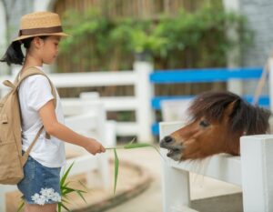 animal farm singapore petting zoo