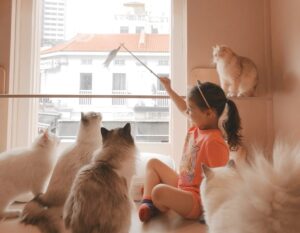 cat cafe singapore