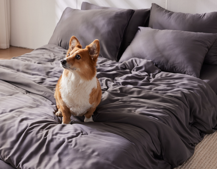 furify- pet-friendly bedding for humans