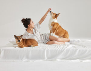furify bedding for humans