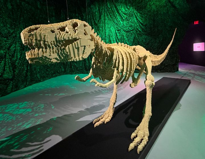 Art of the Brick Singapore - Dinosaur Bones