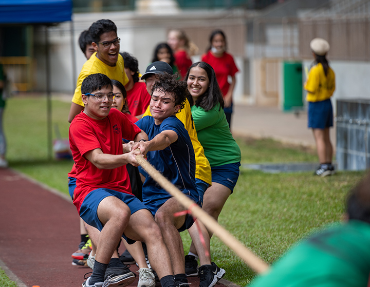 Chatsworth International School