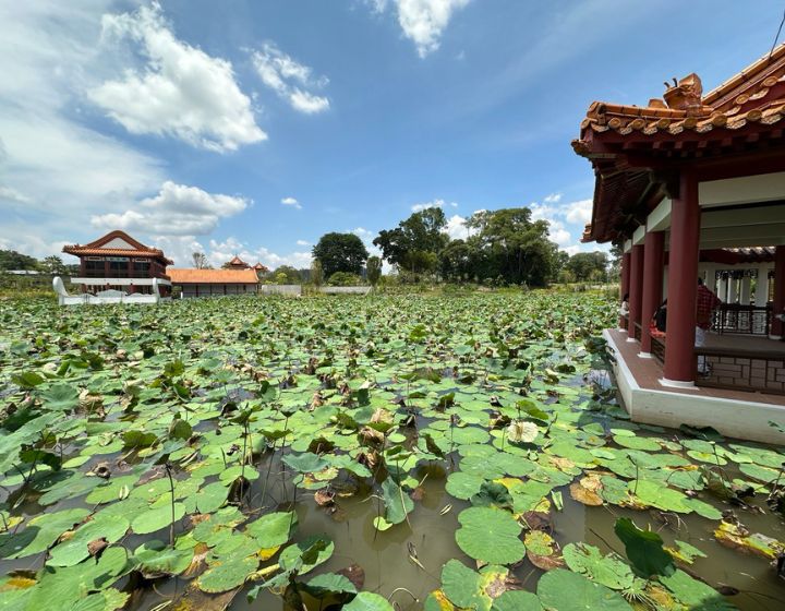 Chinese Garden - Jurong Lake Gardens