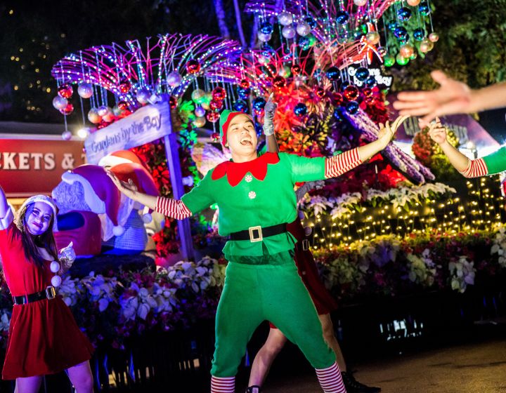 Christmas Wonderland 2024 - Gardens by the Bay - Live Entertainment