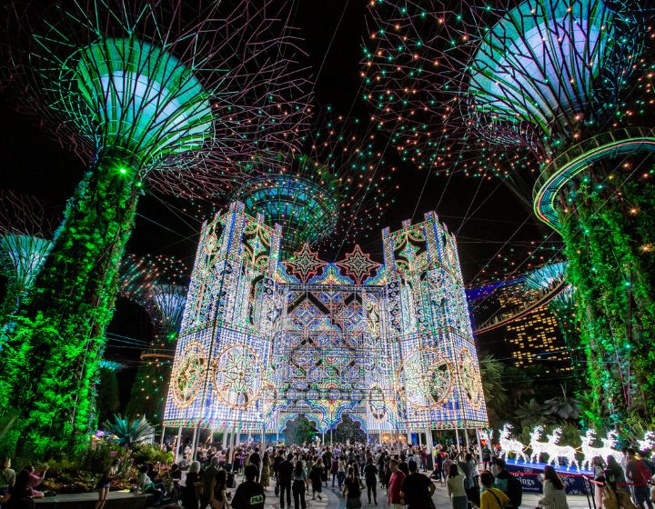 Gardens by the Bay - Christmas Wonderland 2024