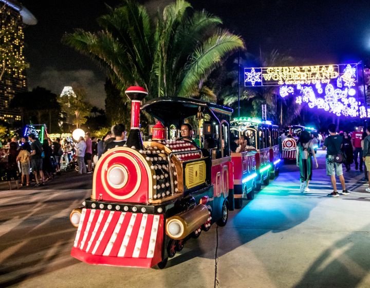 Christmas Wonderland 2024 - Train rides - Gardens by the Bay