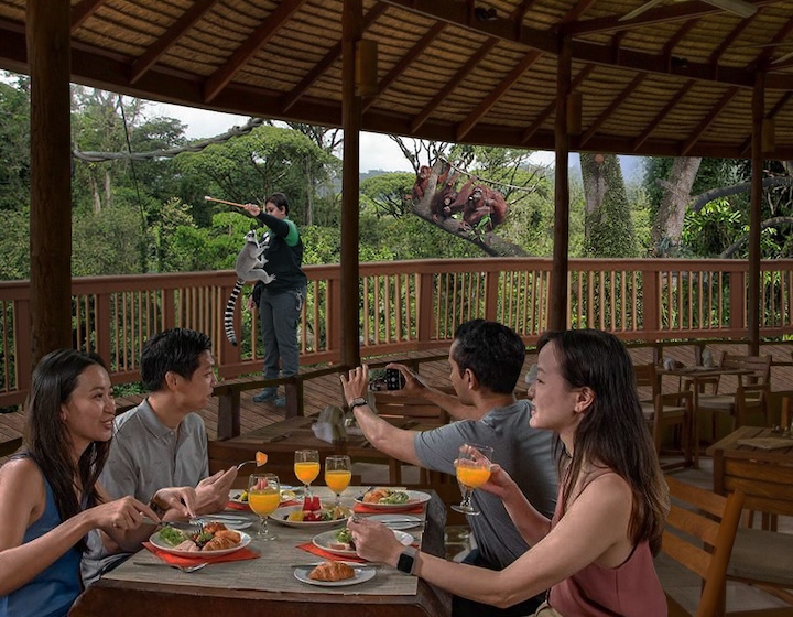 rainforest wild asia - dining 