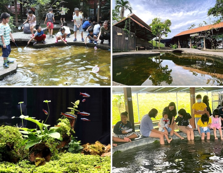 qian hu fish farm - fish farm in singapore