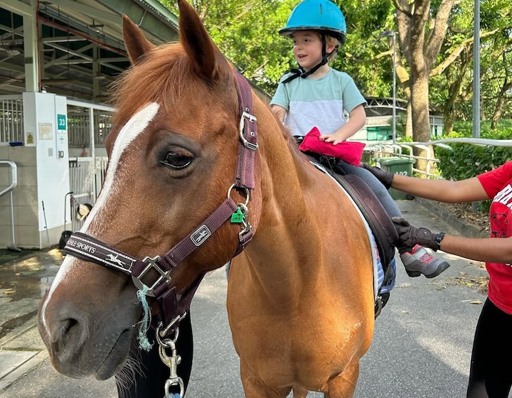 horse riding in singapore - therapeutic and educational horse riding in singapore - theris - boy riding a horse