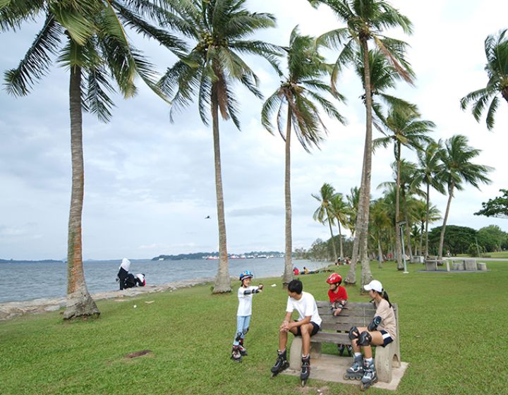 Free things to do in Singapore - outdoor kids' activity - Pasir Ris park