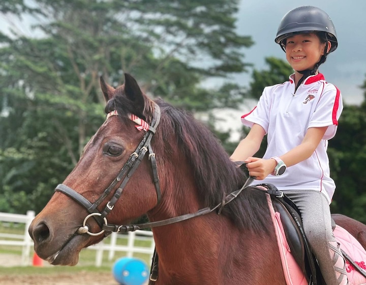 horse riding in singapore - horse riding lessons - gallop stable