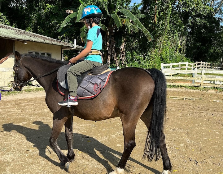 horse riding singapore - healing horses singapore - child riding a horse