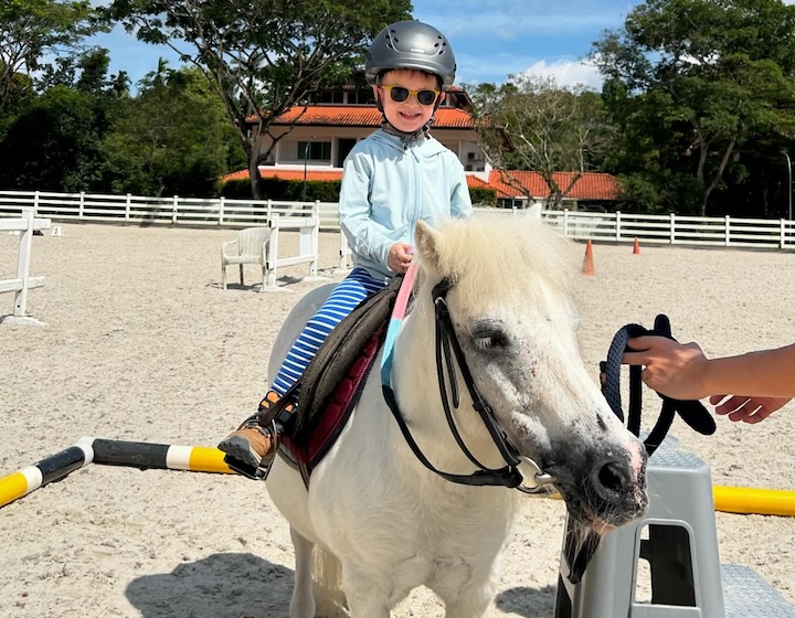 horse riding singapore - national equestrian centre - boy riding a white horse