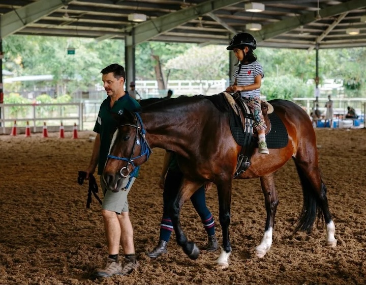 horse riding in singapore - riding for the disabled association 