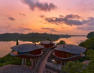 mandai rainforest resort