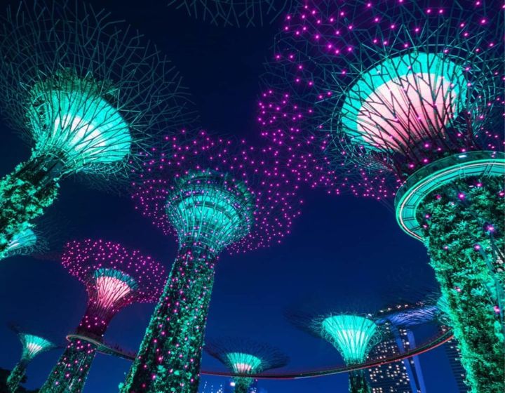 Free Things to do in Singapore - free kids activities - Supertree Grove light show and borealis Northern Lights - Garden Rhapsody