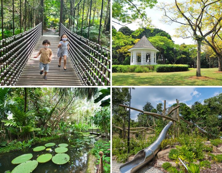 Free Things to do in Singapore - kids activities in Singapore - Singapore Botanic Gardens