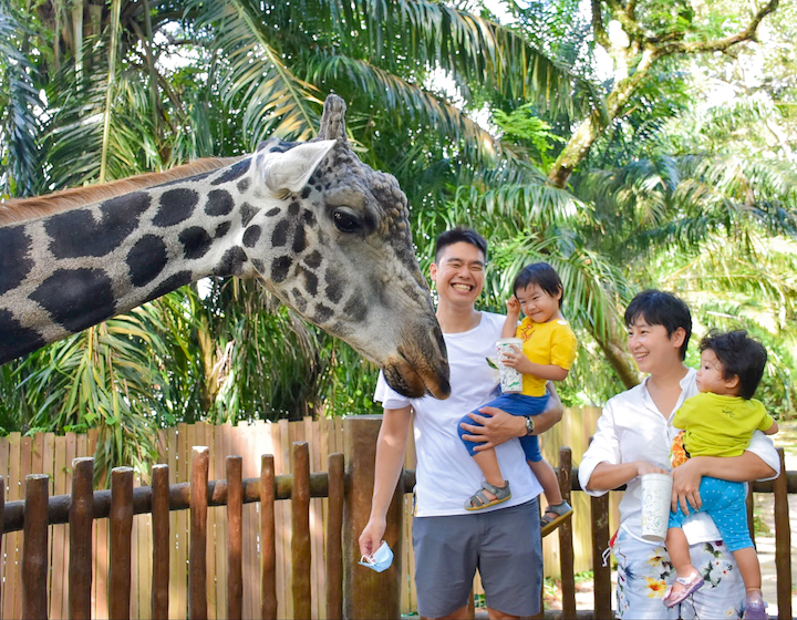 Things to do in Singapore - Kids activities in Singapore - Singapore Zoo