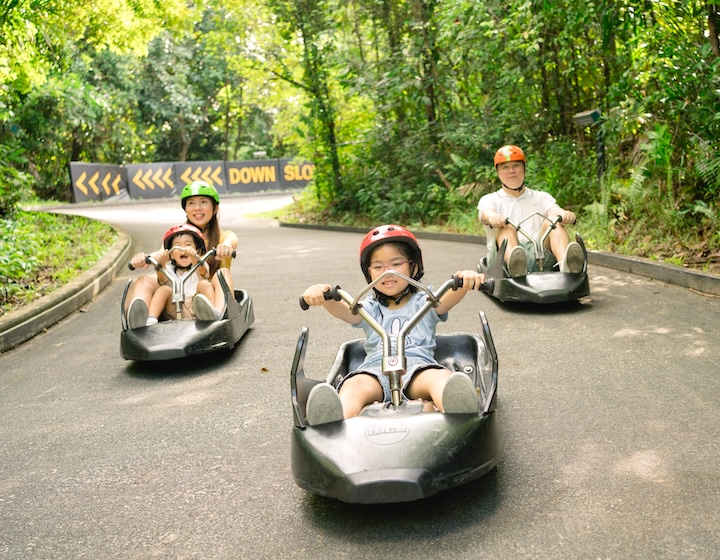 Things to do in Singapore - Kids activities in Singapore - Skyline Luge