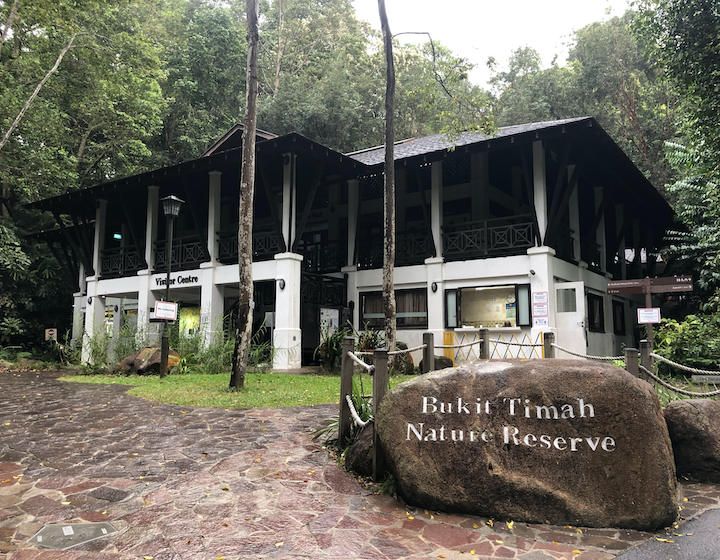 Things to do in Singapore - free kids activity - Bukit Timah Nature Reserve