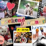 Things to do this weekend with kids in Singapore