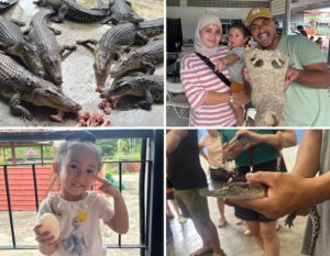 crocodile farm singapore Long Kuan Hung Crocodile Farm