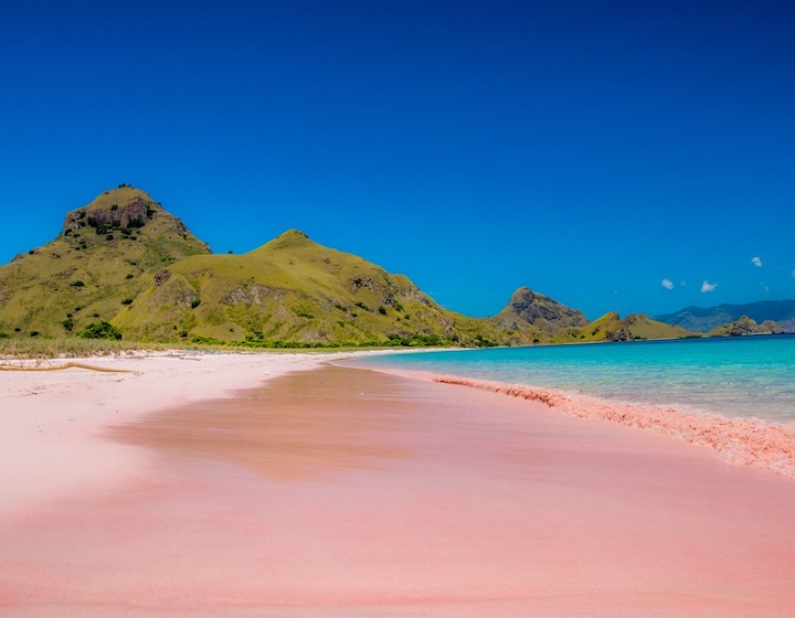 labuan bajo pink beach komodo national park